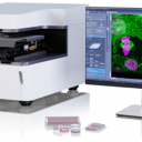 Zeiss Lattice Lightsheet-7光片显微镜